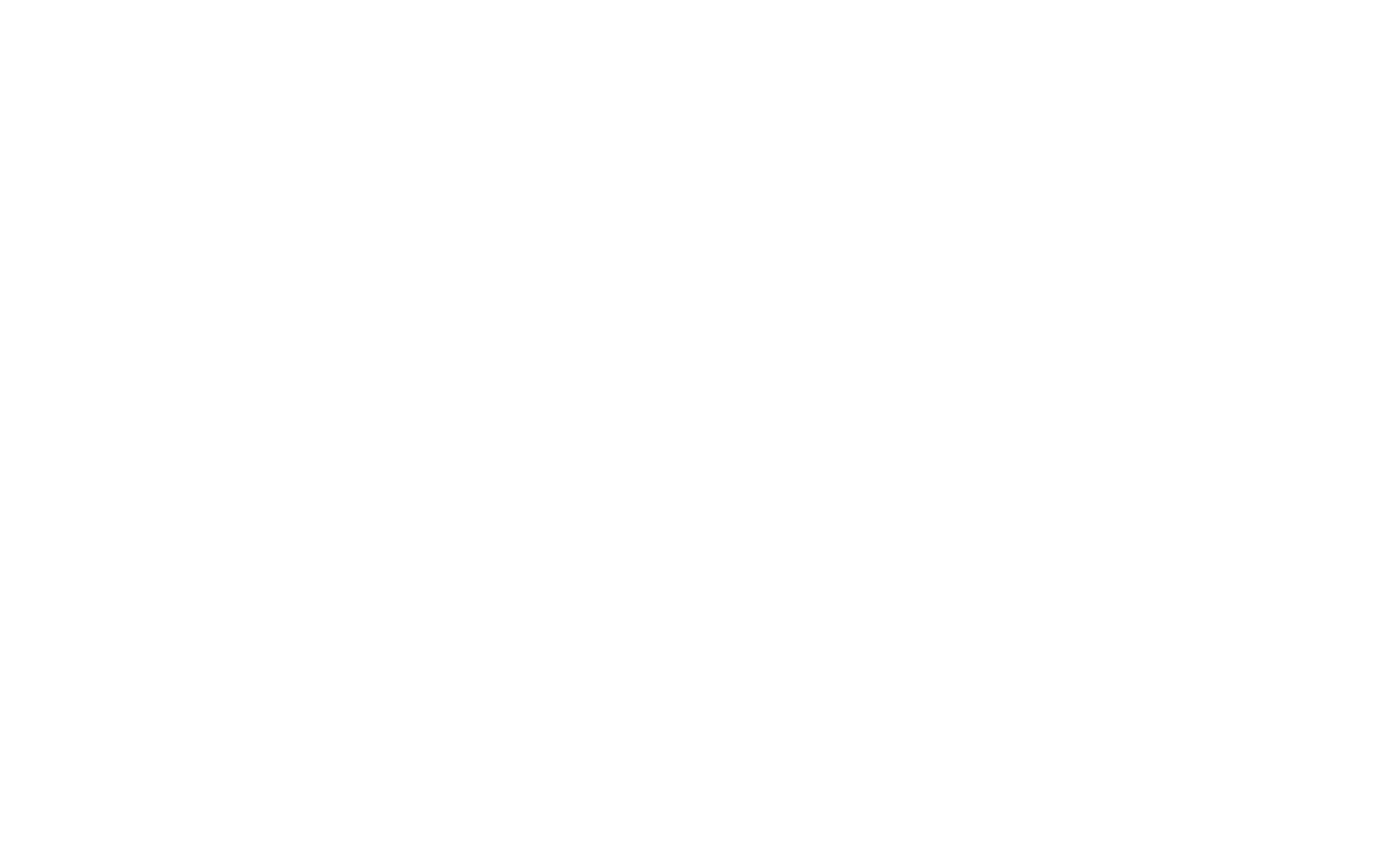 The Owl Of Professor